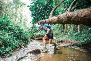 BIB: 
                            <button type="button" onclick="openModal(25376014)" class="btn btn-primary btn-sm float-right btn-popup" data-toggle="modal" data-target=".modal-high-quality">
                        <i class="fas fa-shopping-cart"></i> Add to Cart
                    </button>
                                            <button type="button" onclick="isThisMe(25376014, true)" class="btn btn-success btn-sm float-right btn-popup btn-isme hidden" data-toggle="tooltip" data-placement="bottom" title="นี่คือรูปของคุณใช่ไหม คลิกที่นี่เพื่อเอาเข้าอัลบั้ม">
                        <i class="fas fa-plus"></i> Add to album
                    </button>
                    <button type="button" onclick="isThisMe(25376014, false)" class="btn btn-warning btn-sm float-right btn-popup btn-isnotme hidden">
                        <i class="fas fa-ban"></i> Remove from album
                    </button>